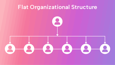 What Is a Flat Organizational Structure? (Pros, Cons, Tips, and FAQs)